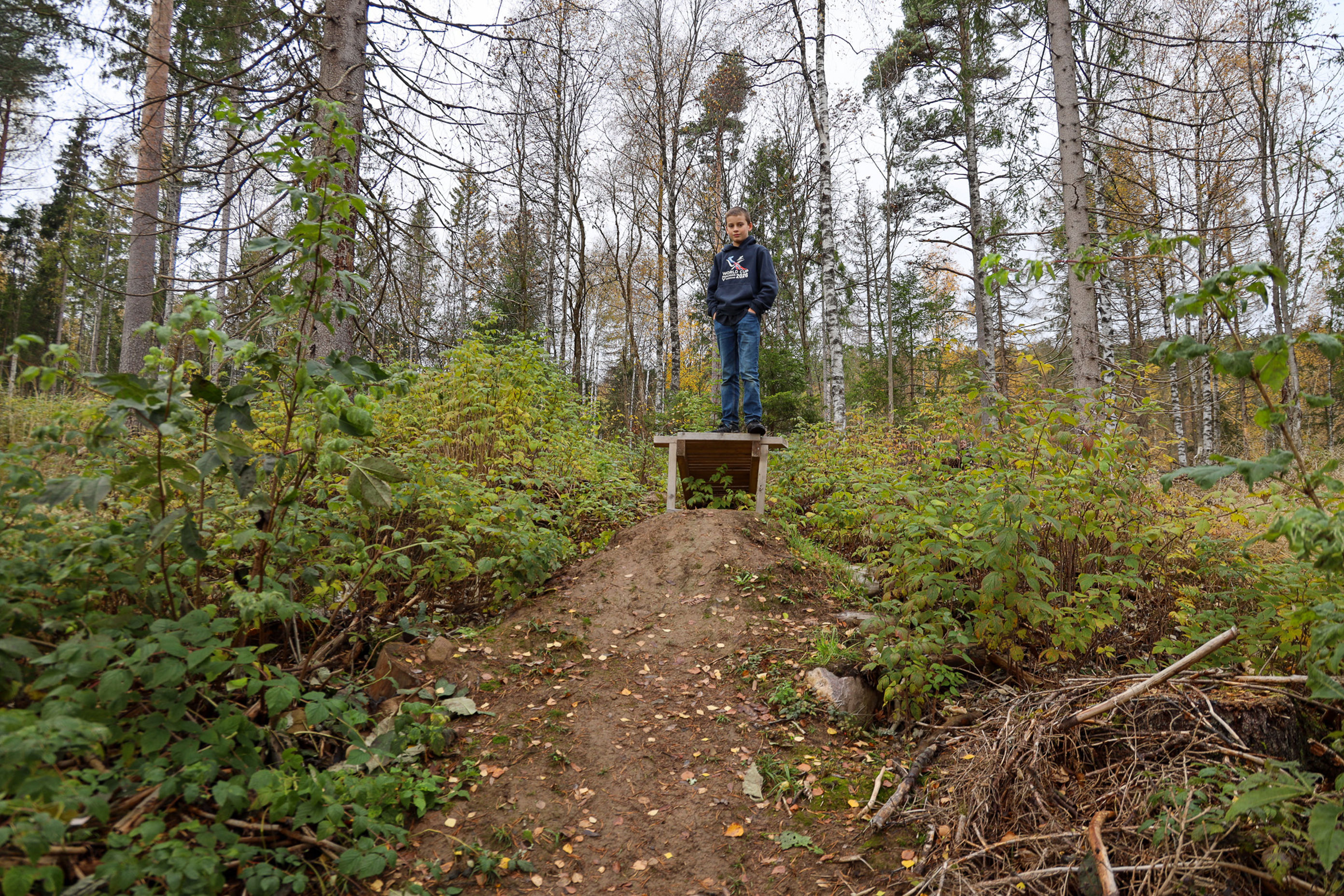 en person som står på en sti i skogen en person som står på en sti i skogen