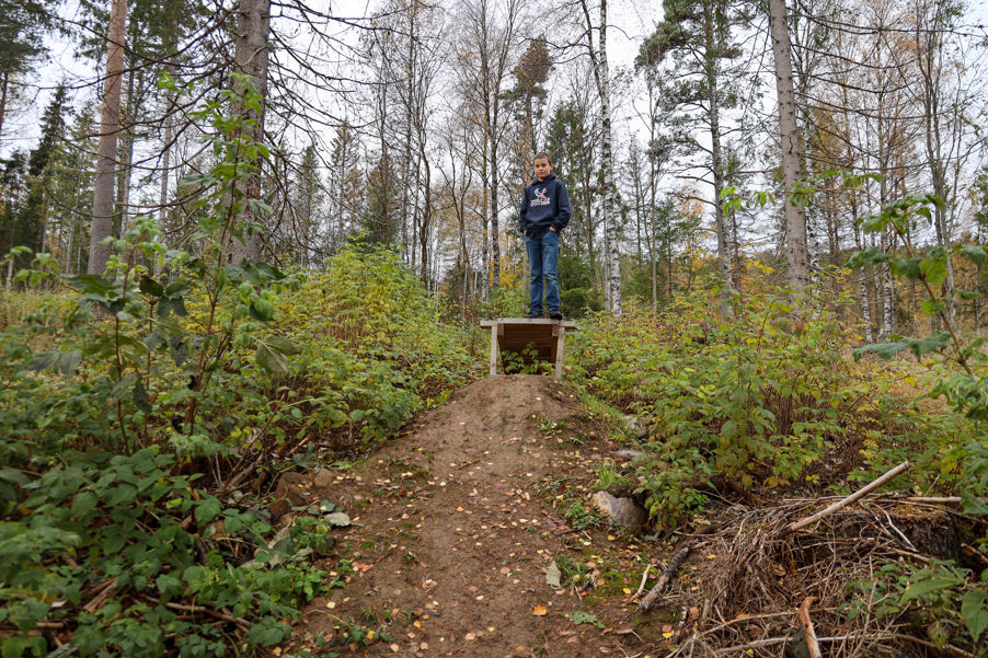 en person som står på en sti i skogen en person som står på en sti i skogen