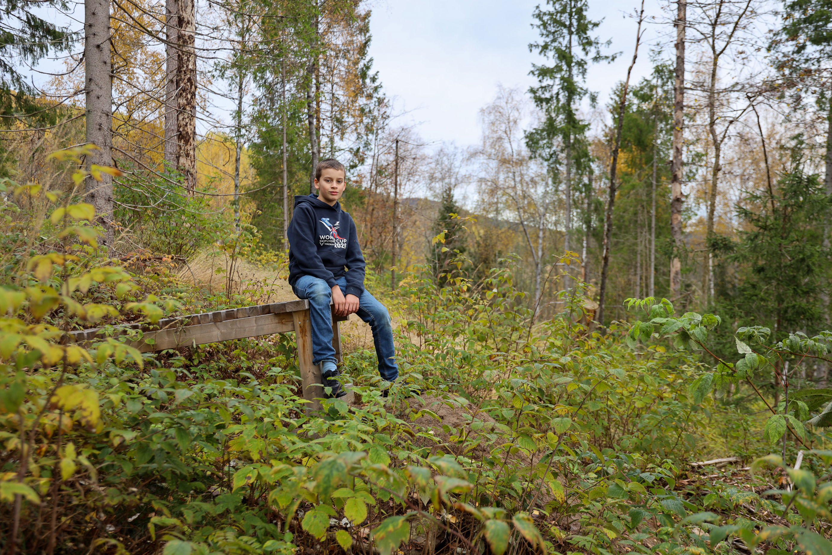En person som sitter på en benk i skogen En person som sitter på en benk i skogen